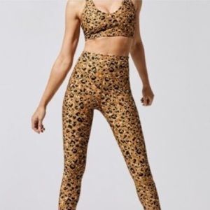 Carbon 38 cheetah workout set